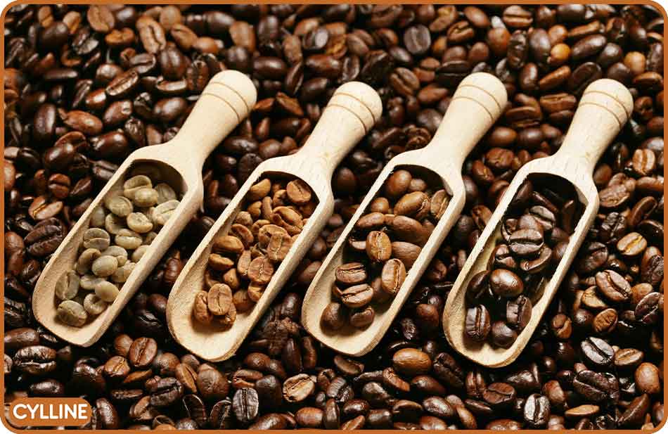 رست قهوه به چه معناست - سایلین