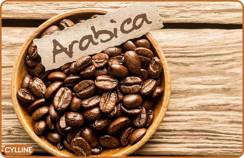 قهوه عربیکا چیست - سایلین