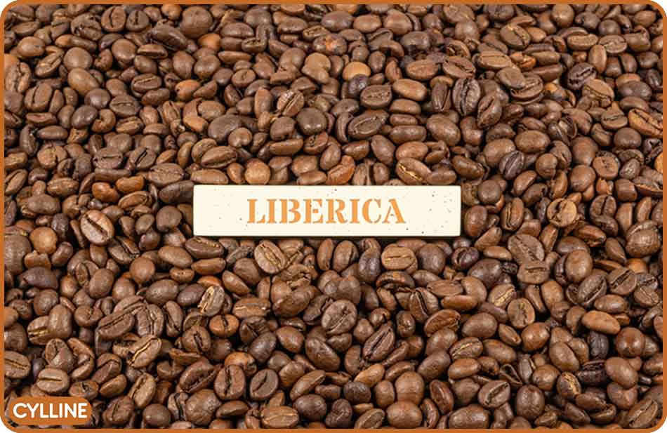 قهوه لیبریکا چیست - سایلین