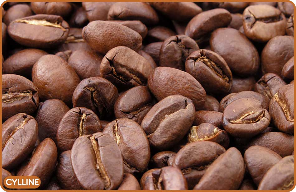 راهنمای انتخاب قهوه ساز - سایلین